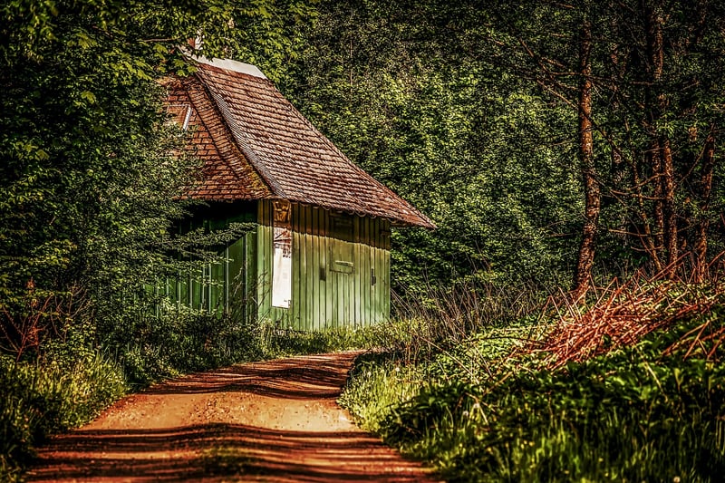 Treehouse Lodge in the Forest